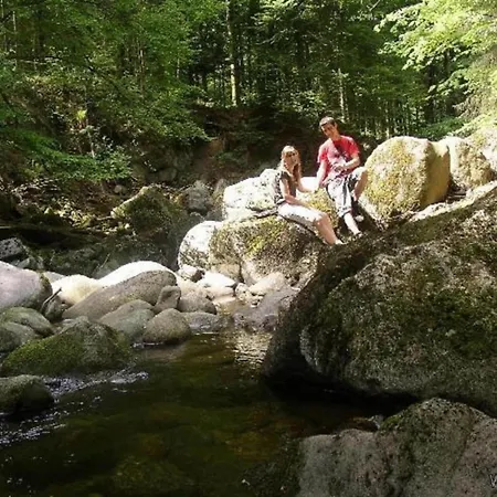 Roswitha Mit Pool Und Sauna * Freyung